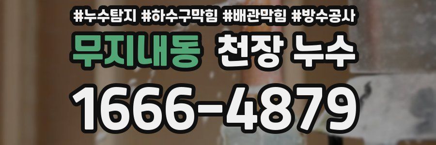 무지내동 천장 누수