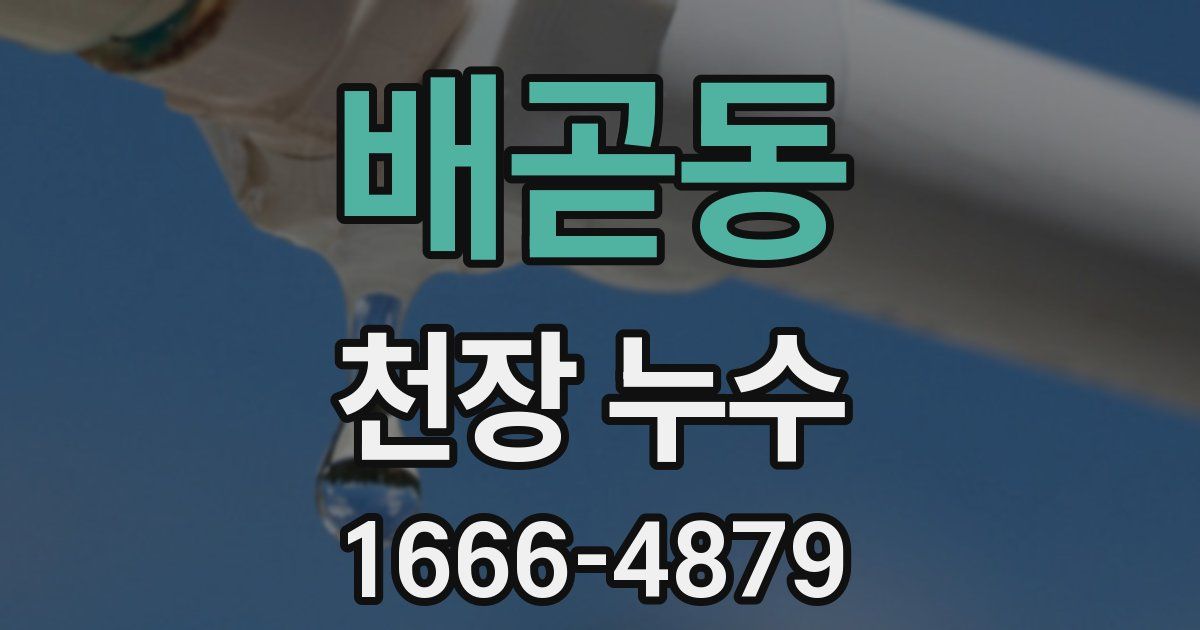 배곧동 천장 누수
