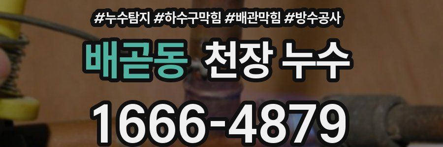 배곧동 천장 누수