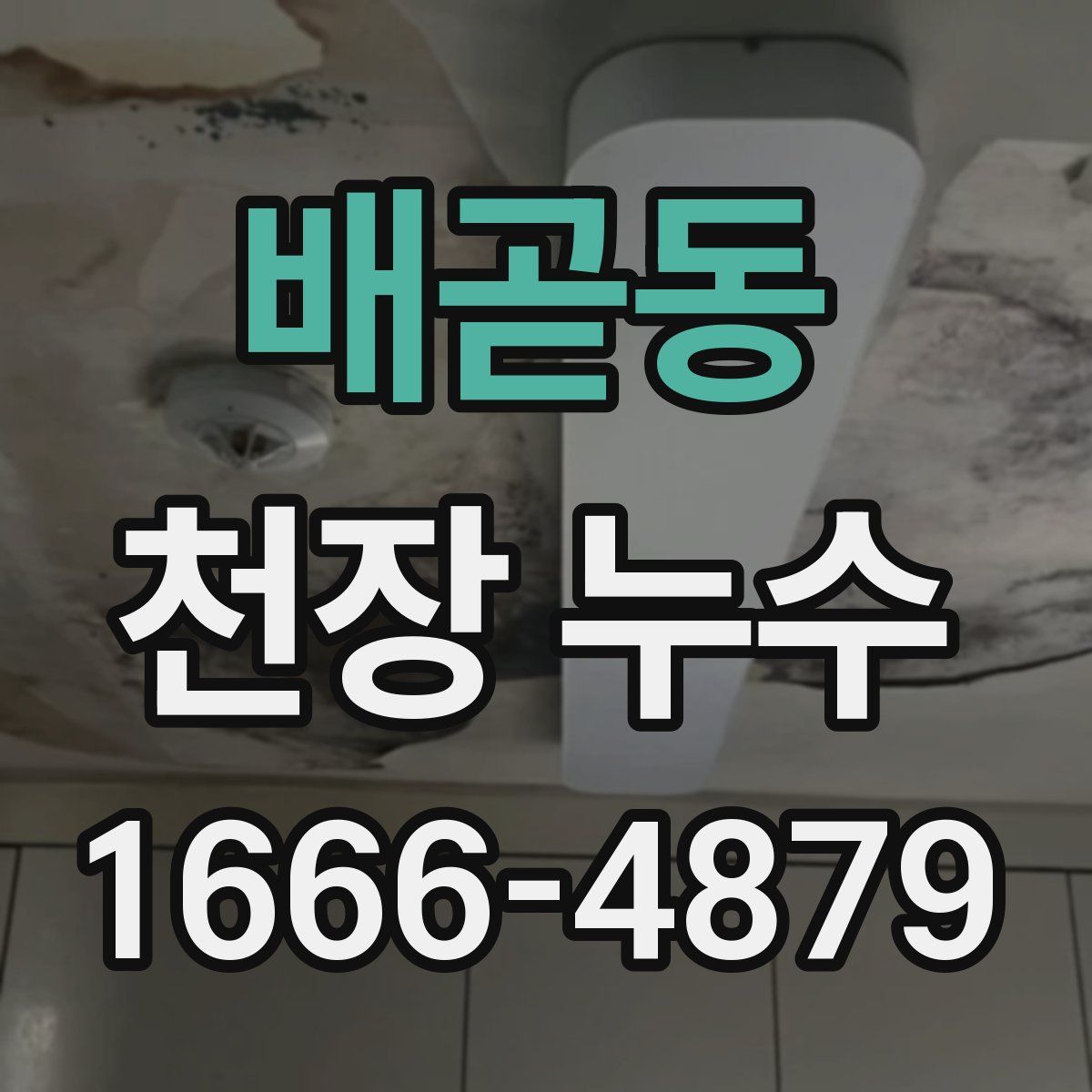 배곧동 천장 누수