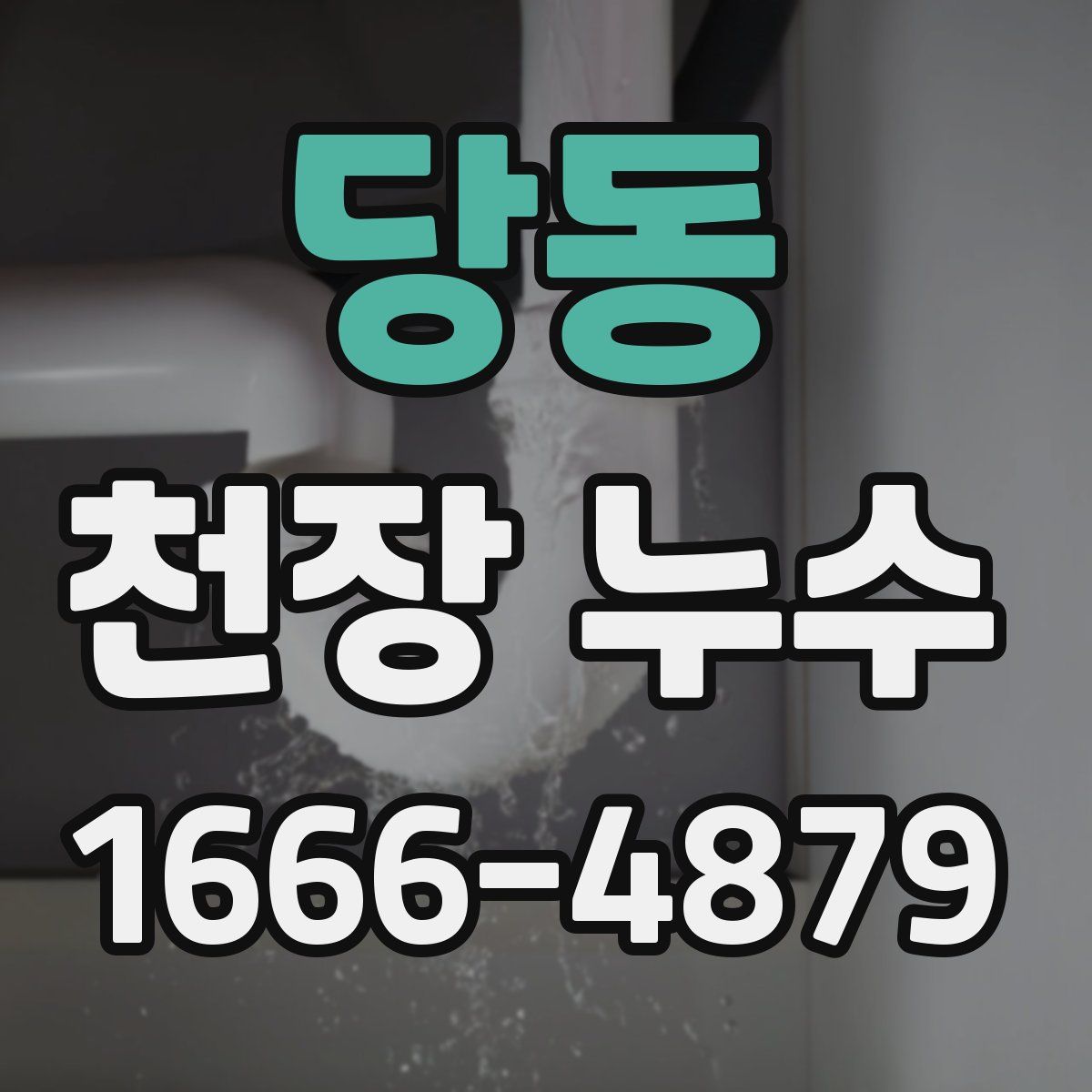 당동 천장 누수