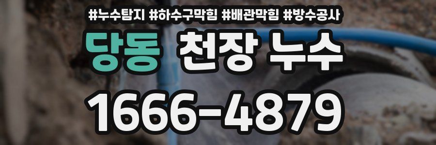 당동 천장 누수
