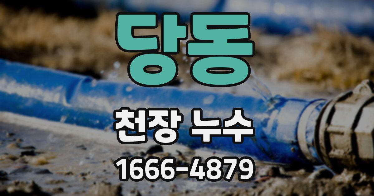 당동 천장 누수