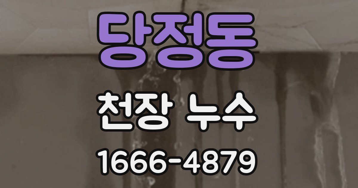 당정동 천장 누수
