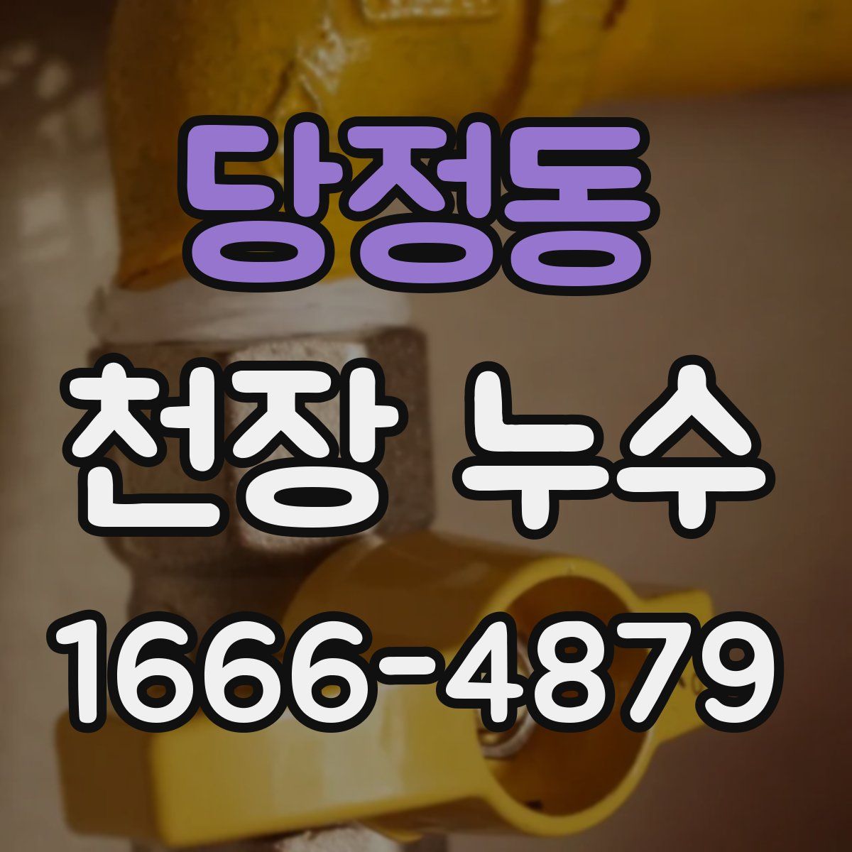 당정동 천장 누수