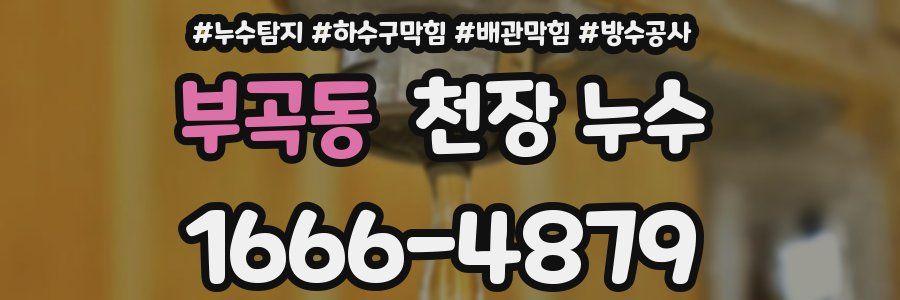 부곡동 천장 누수