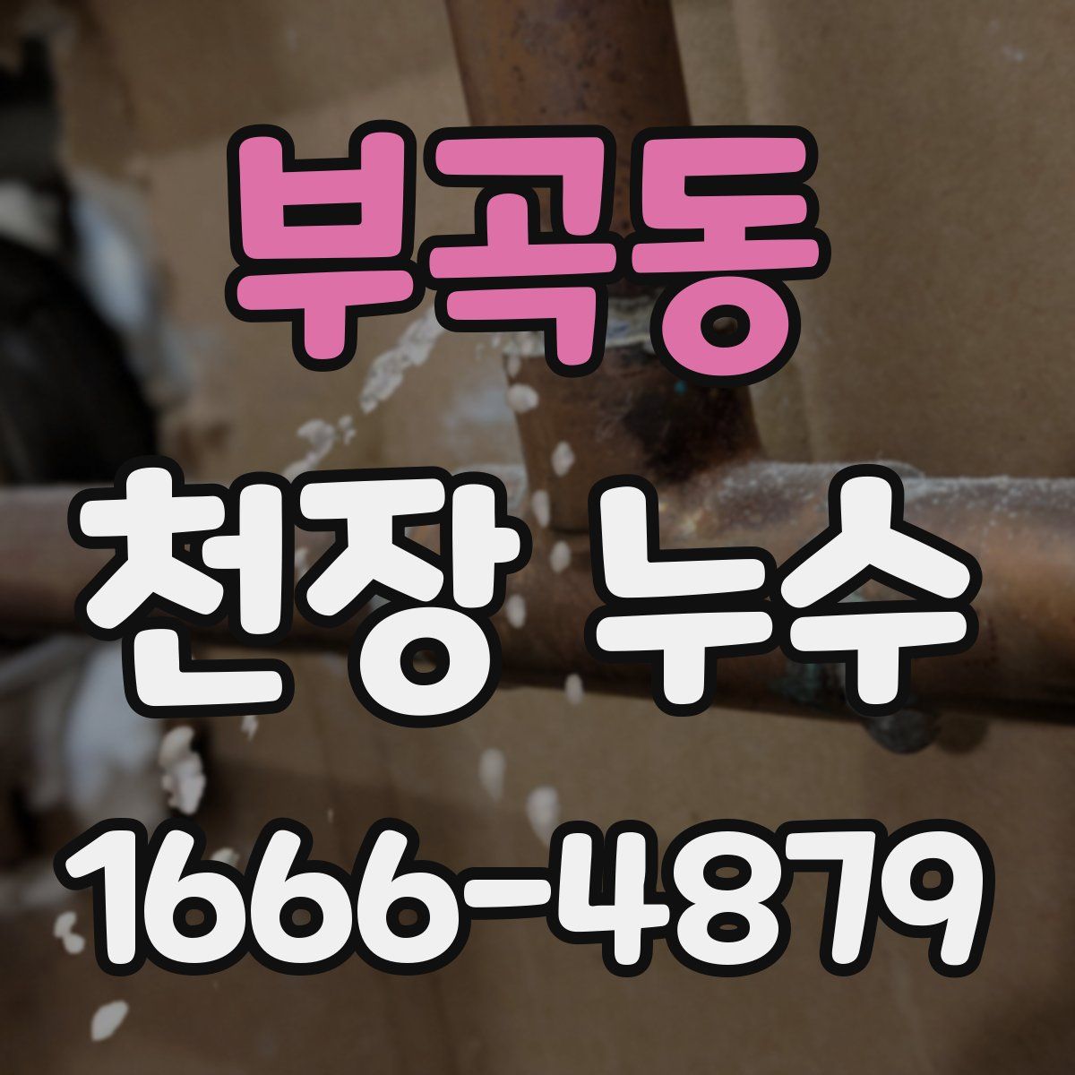 부곡동 천장 누수