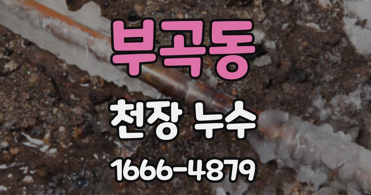 부곡동 천장 누수