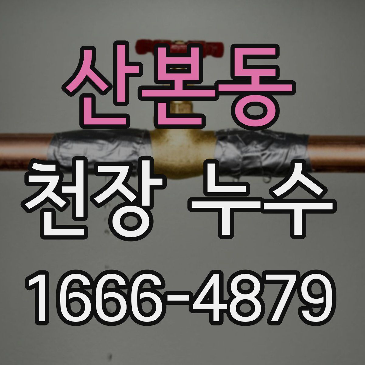 산본동 천장 누수