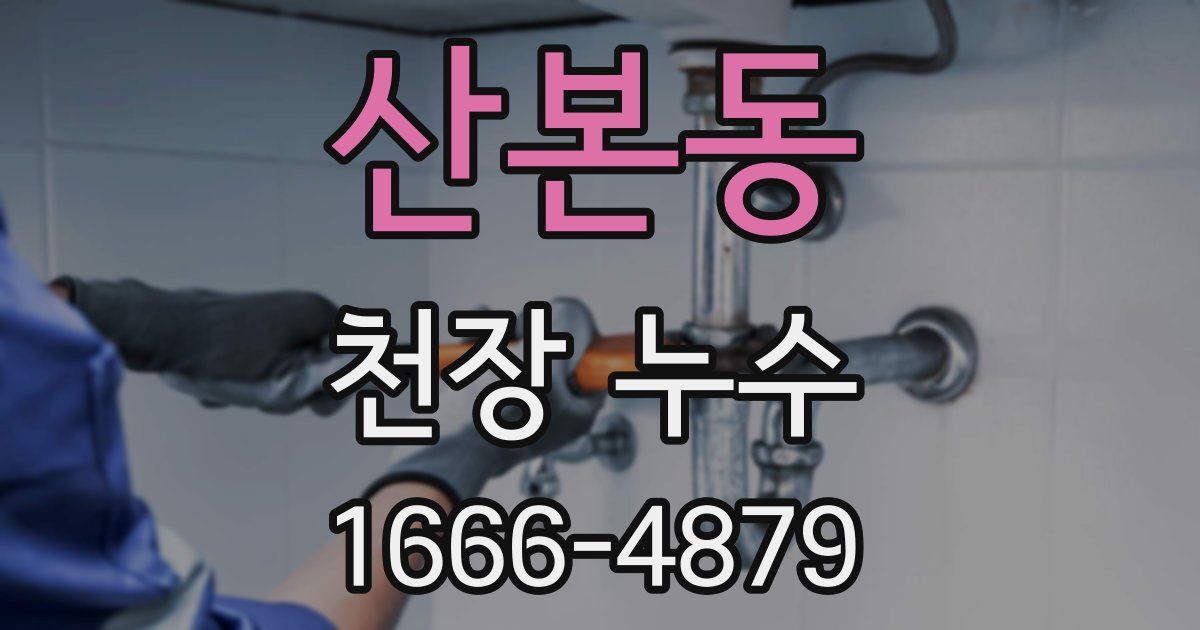 산본동 천장 누수