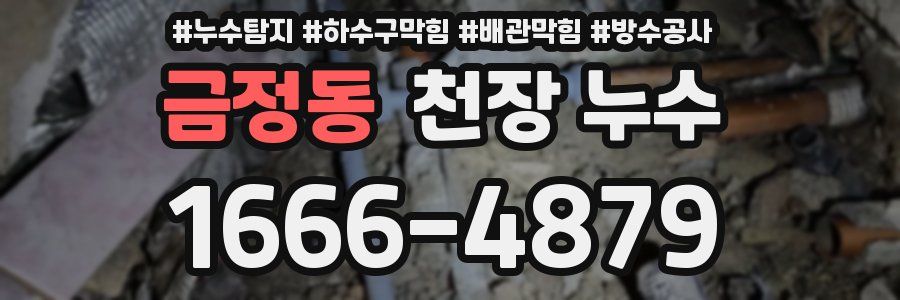 금정동 천장 누수