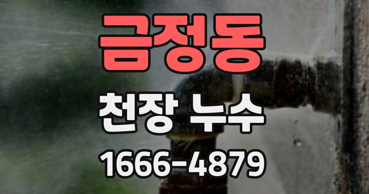 금정동 천장 누수