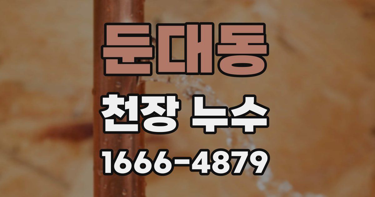 둔대동 천장 누수