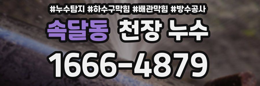 속달동 천장 누수