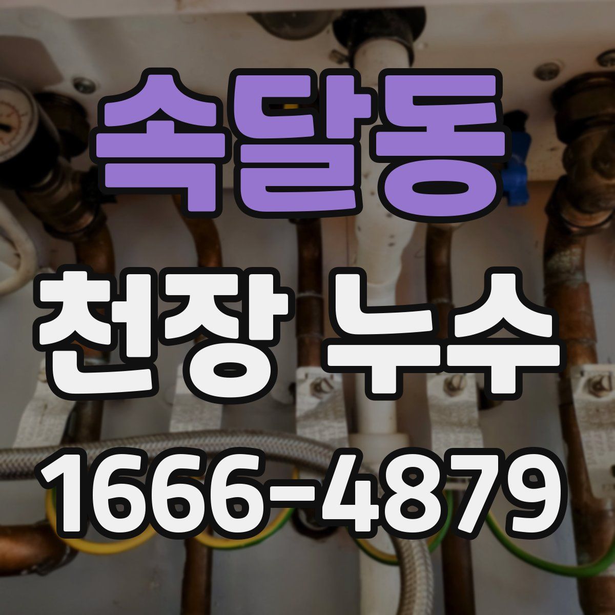 속달동 천장 누수