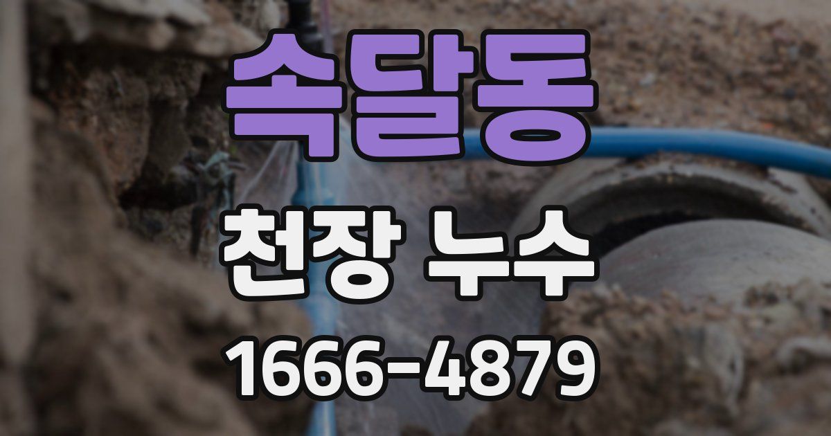 속달동 천장 누수