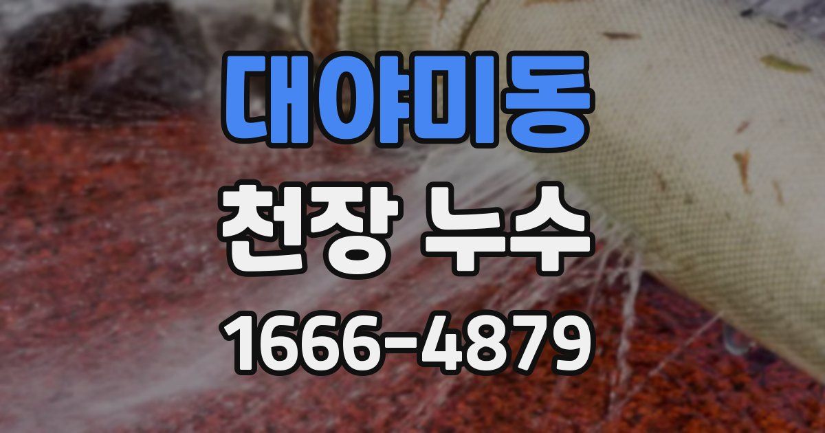 대야미동 천장 누수