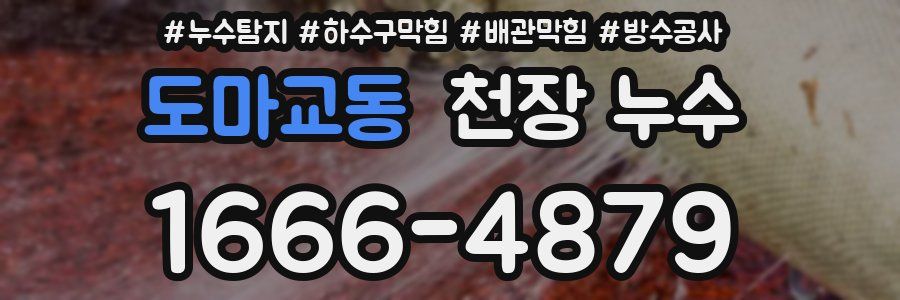 도마교동 천장 누수