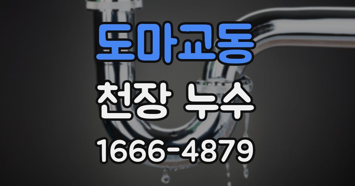 도마교동 천장 누수