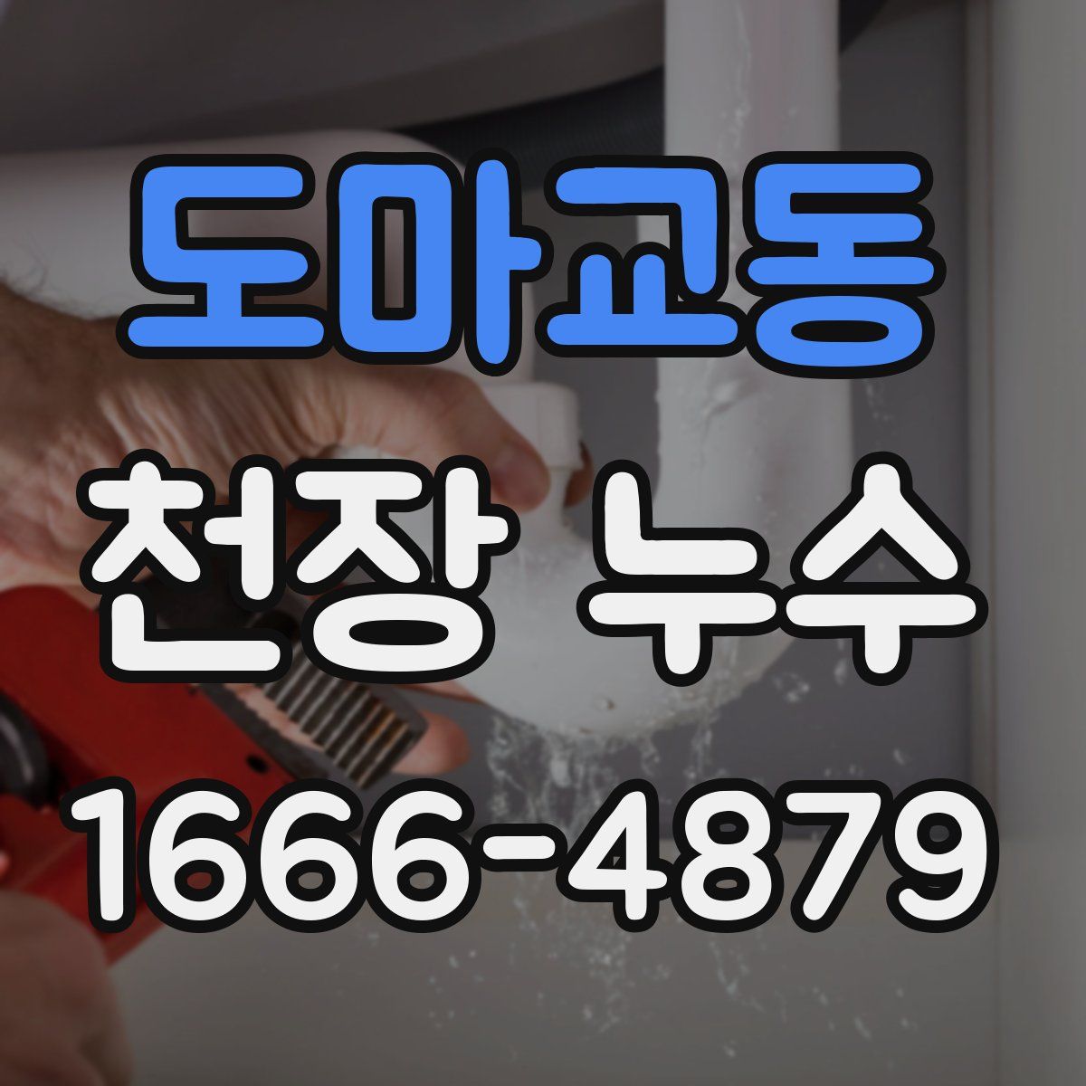 도마교동 천장 누수