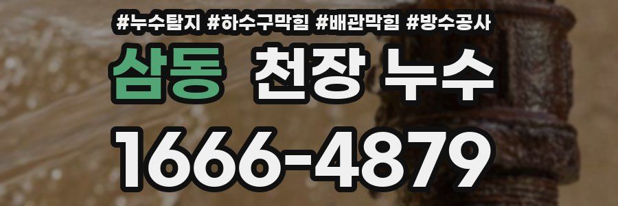 삼동 천장 누수