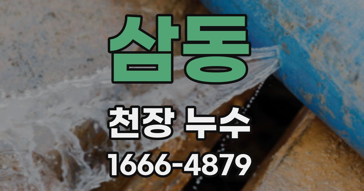 삼동 천장 누수
