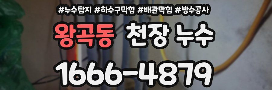 왕곡동 천장 누수