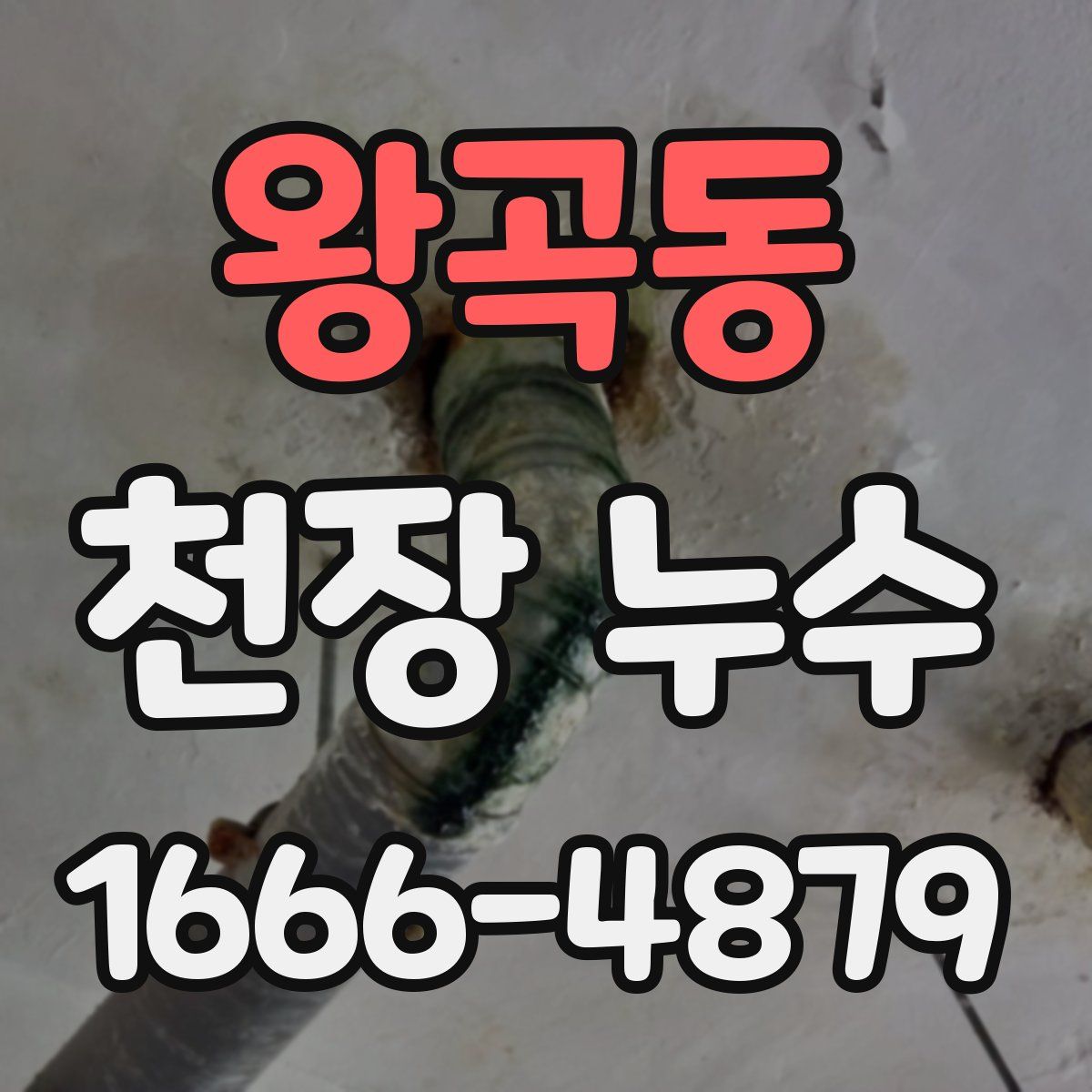 왕곡동 천장 누수