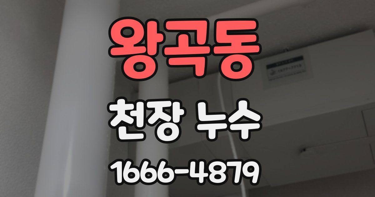 왕곡동 천장 누수