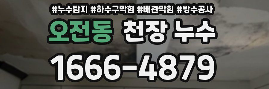 오전동 천장 누수