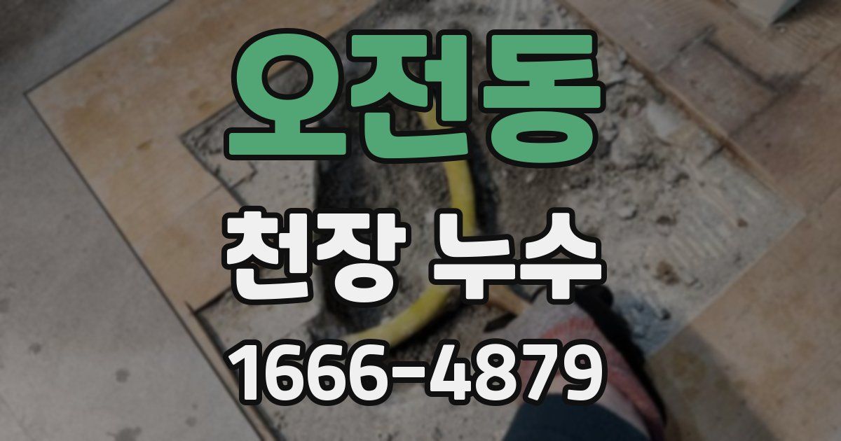 오전동 천장 누수