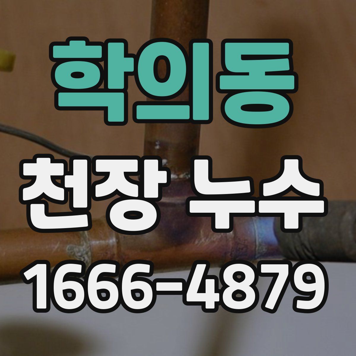 학의동 천장 누수