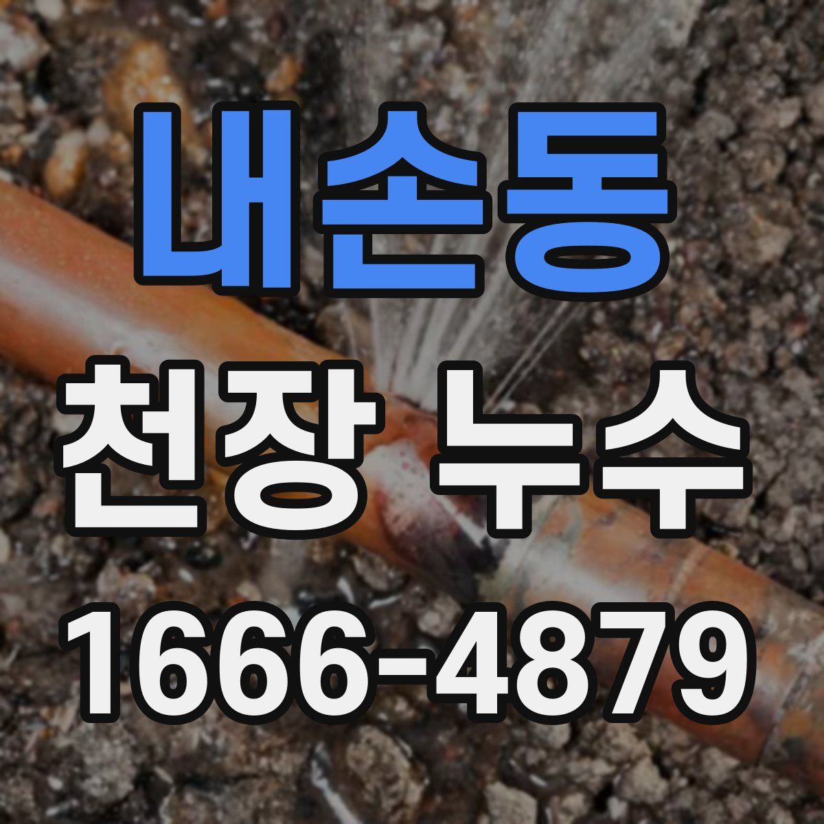 내손동 천장 누수