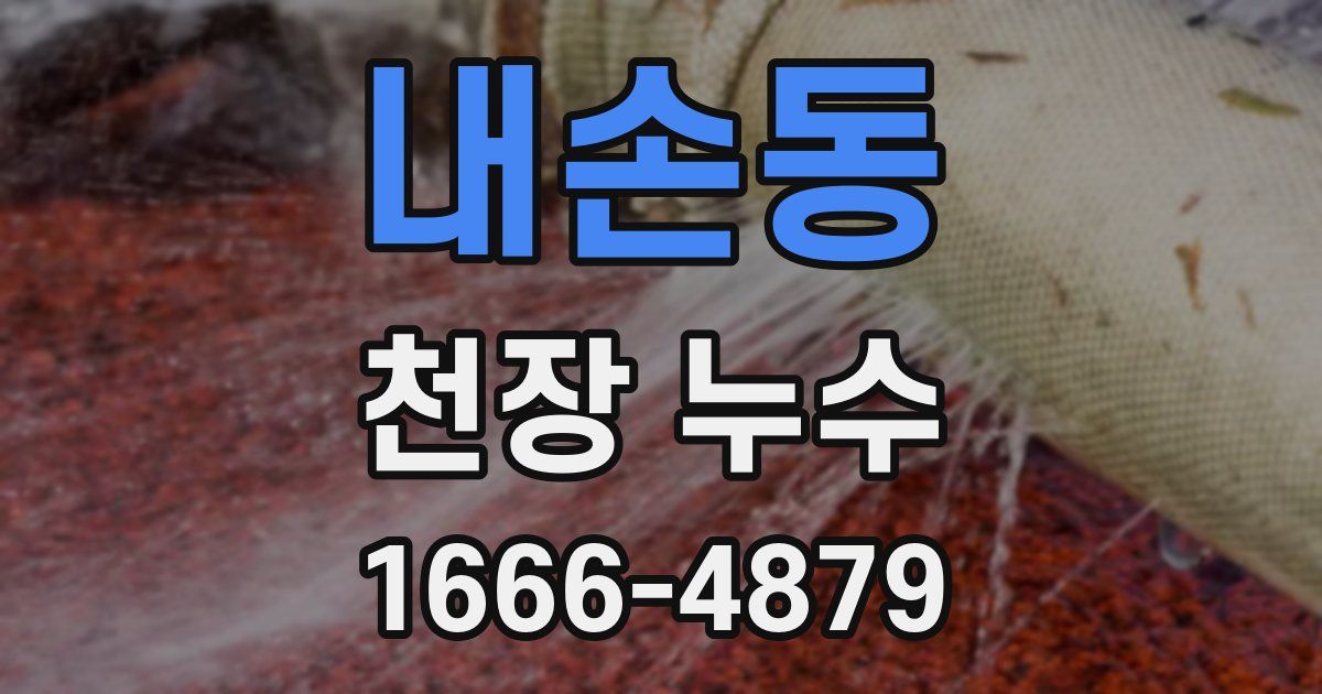 내손동 천장 누수