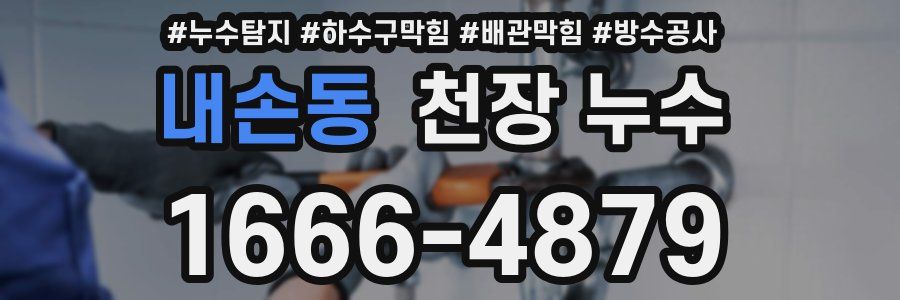 내손동 천장 누수