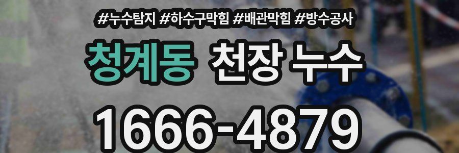 청계동 천장 누수