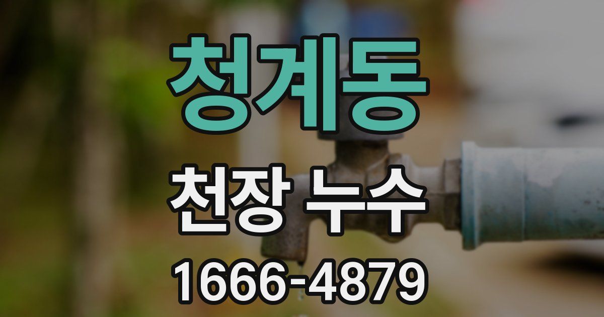 청계동 천장 누수