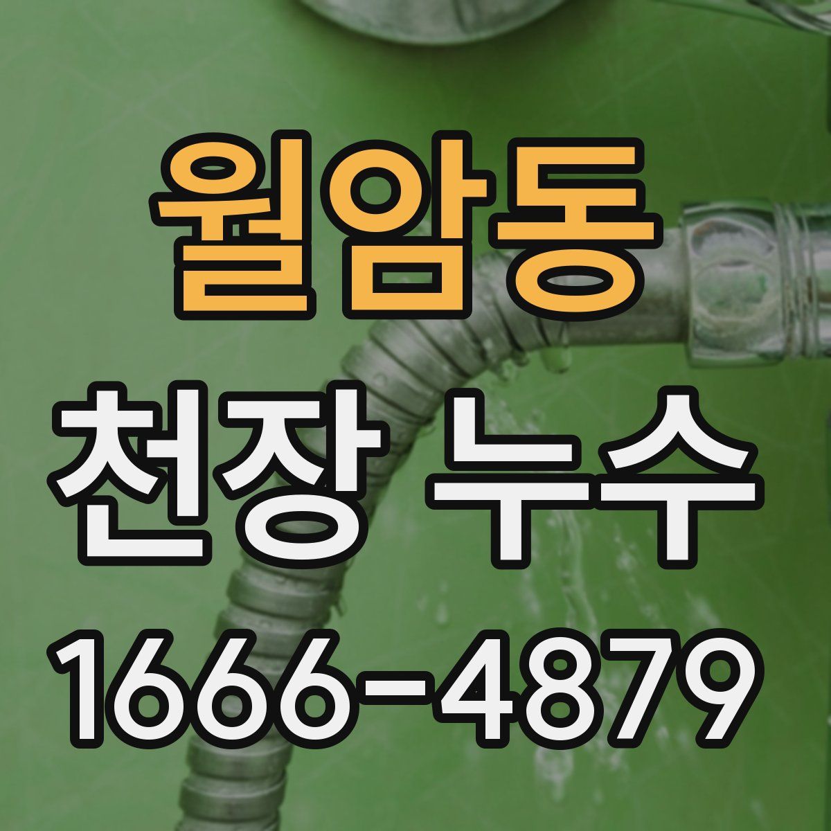 월암동 천장 누수