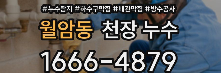 월암동 천장 누수