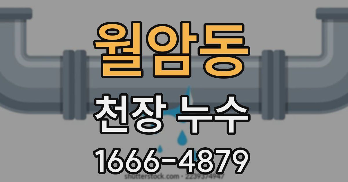 월암동 천장 누수