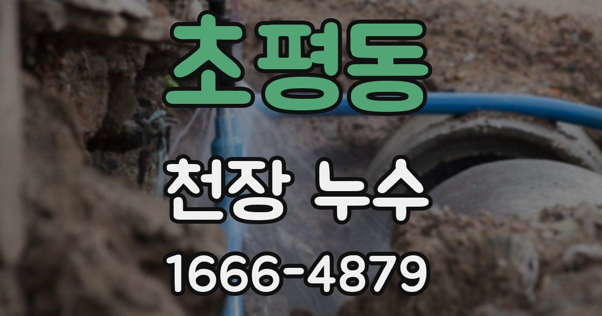 초평동 천장 누수