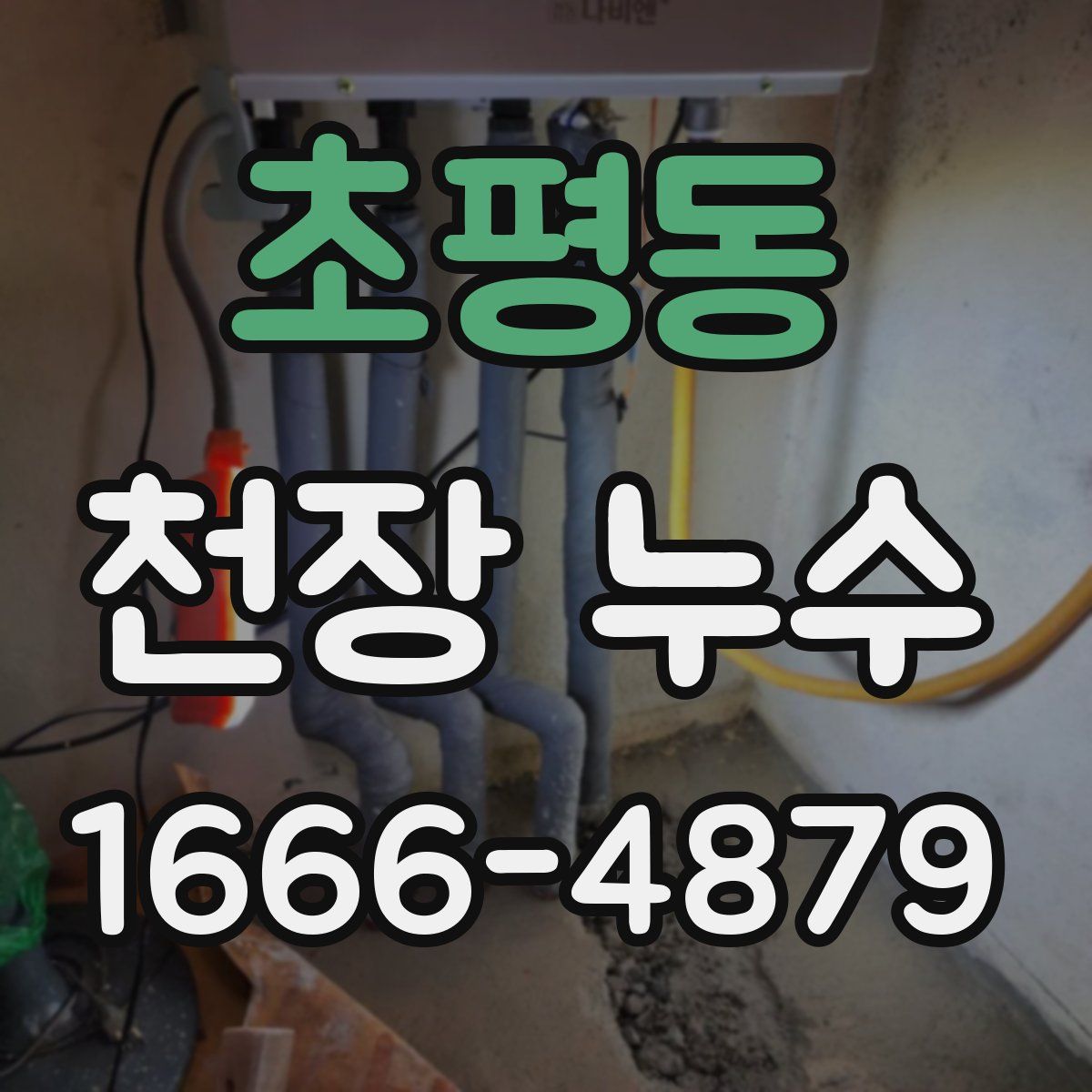 초평동 천장 누수