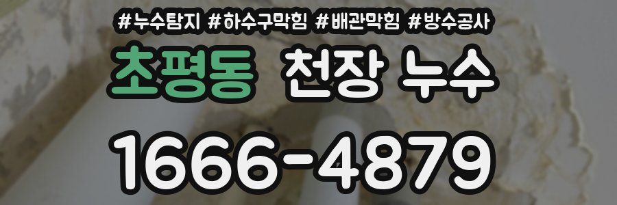 초평동 천장 누수