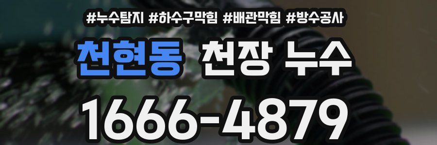 천현동 천장 누수