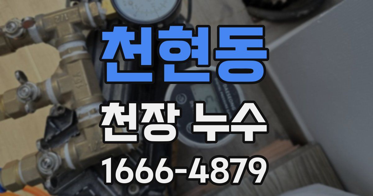 천현동 천장 누수
