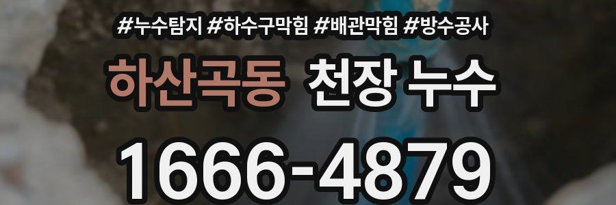 하산곡동 천장 누수