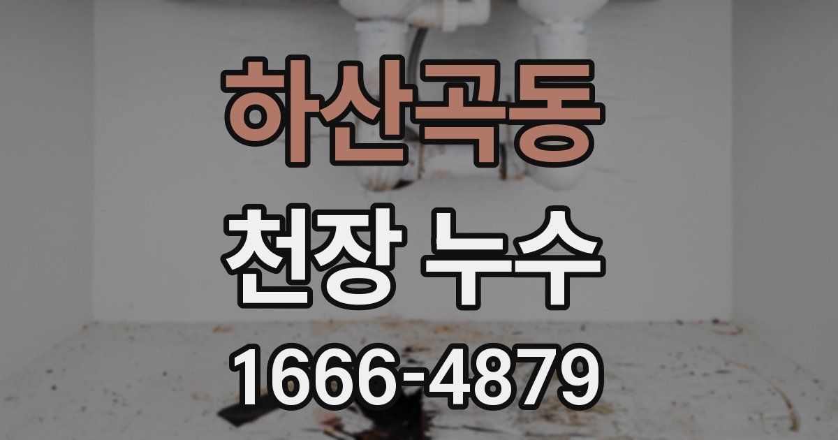 하산곡동 천장 누수