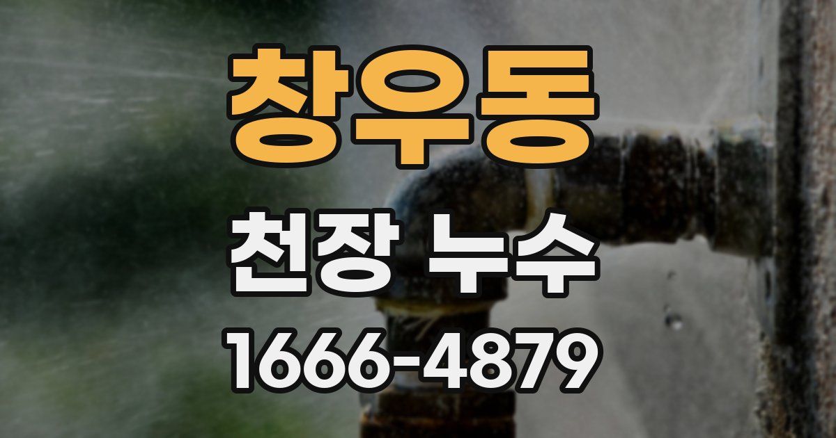 창우동 천장 누수
