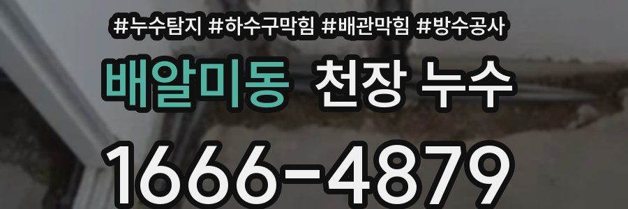 배알미동 천장 누수