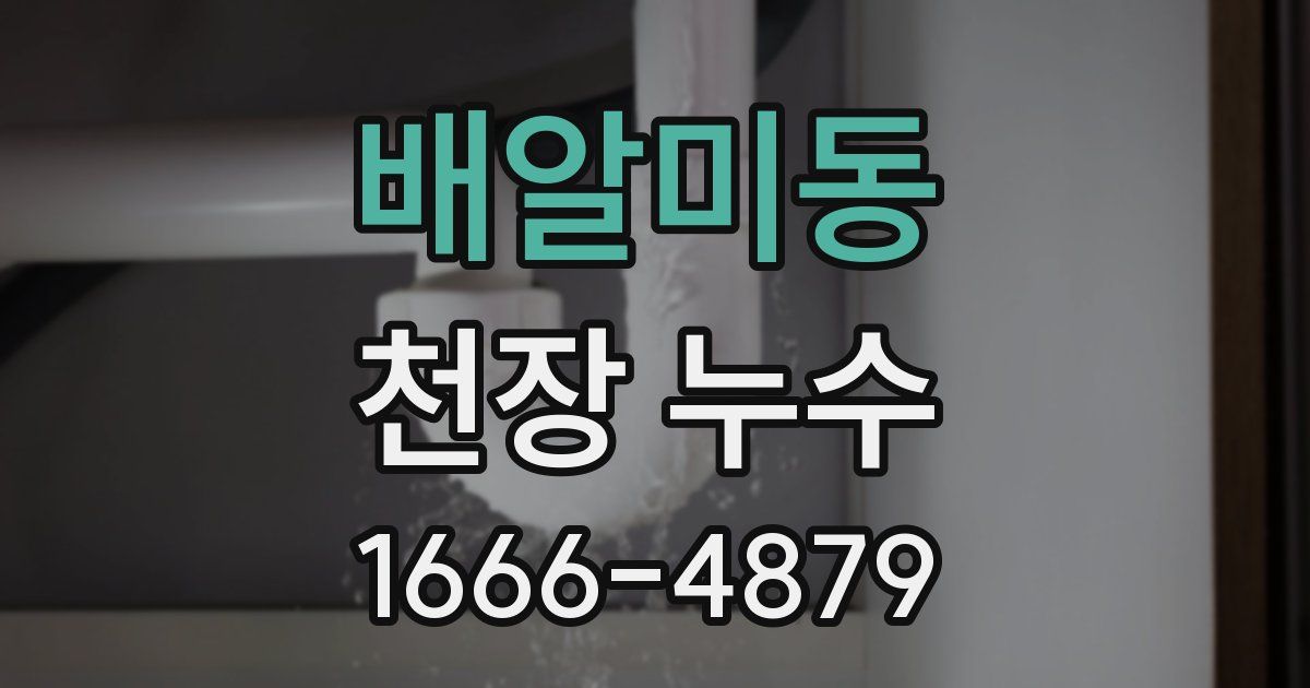 배알미동 천장 누수